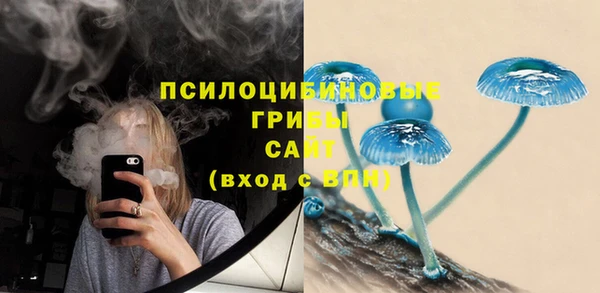 ГАЛЛЮЦИНОГЕННЫЕ ГРИБЫ Белоозёрский