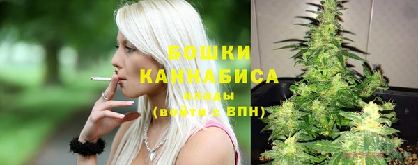 ГАЛЛЮЦИНОГЕННЫЕ ГРИБЫ Белоозёрский